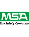 MSA